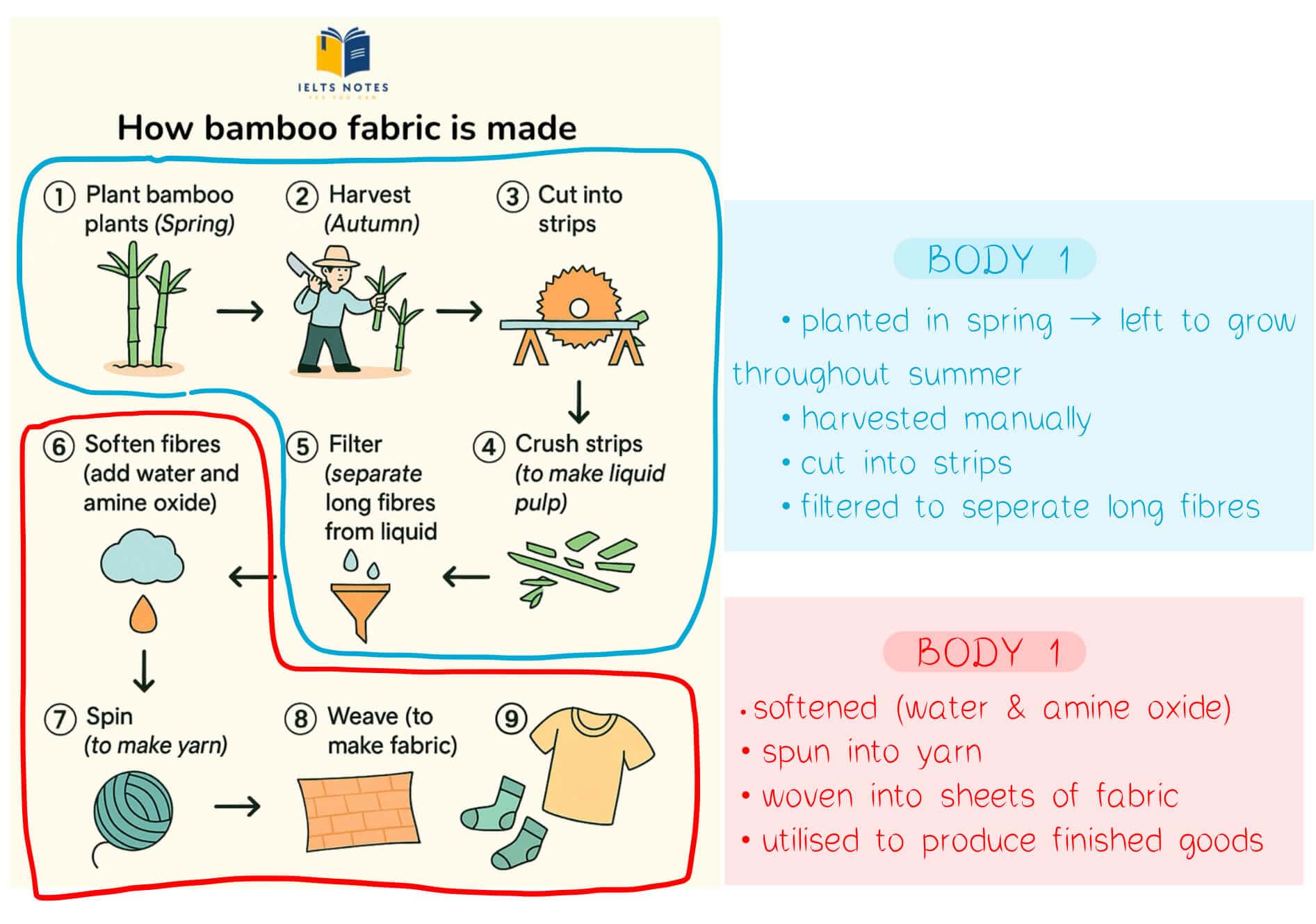 ielts-writing-bamboo-fabric-process