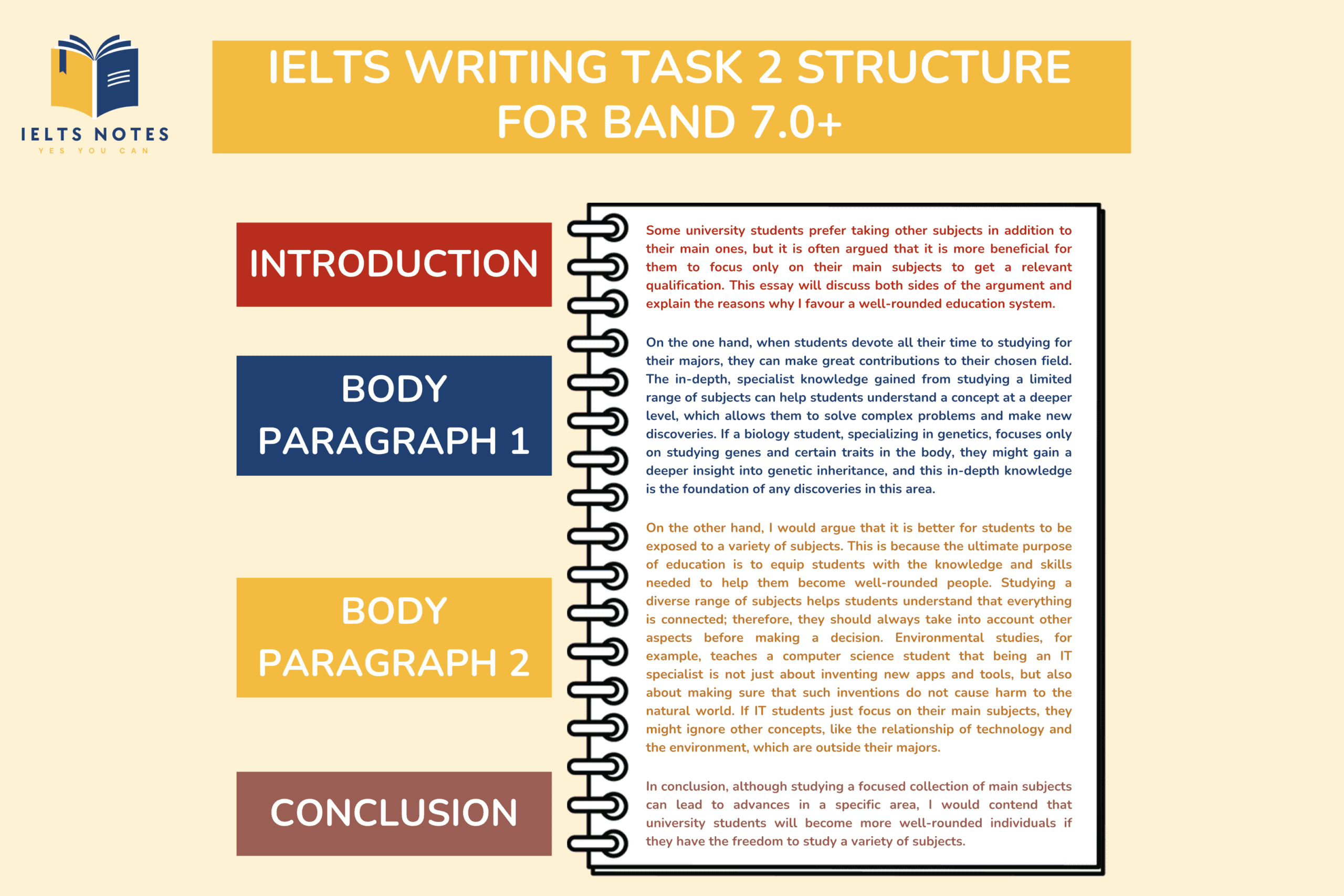 IELTS Writing Task 2 structure infographic showing Band 7+ introduction, body paragraph, and conclusion framework