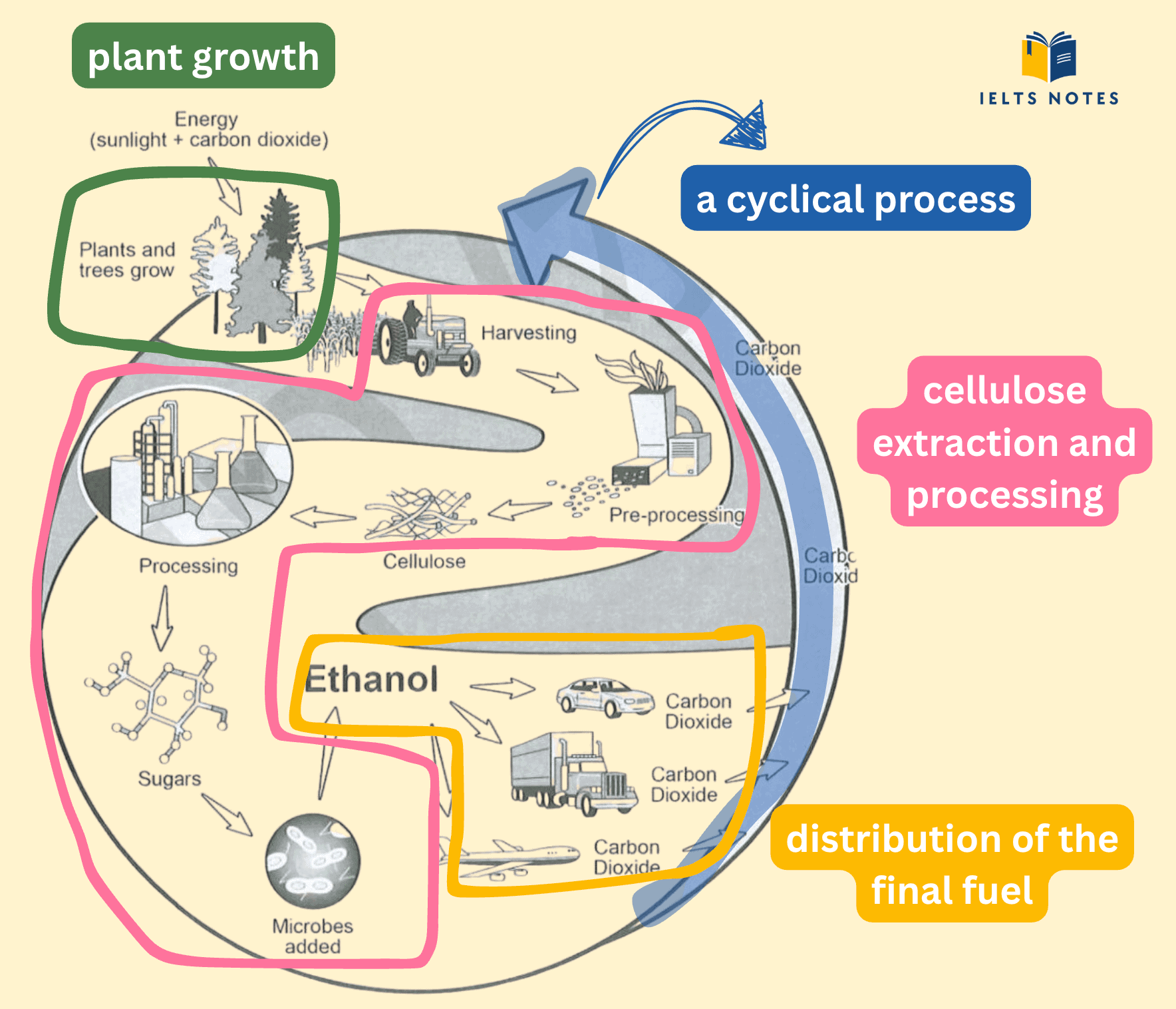 ielts-ethanol-is-produced-process