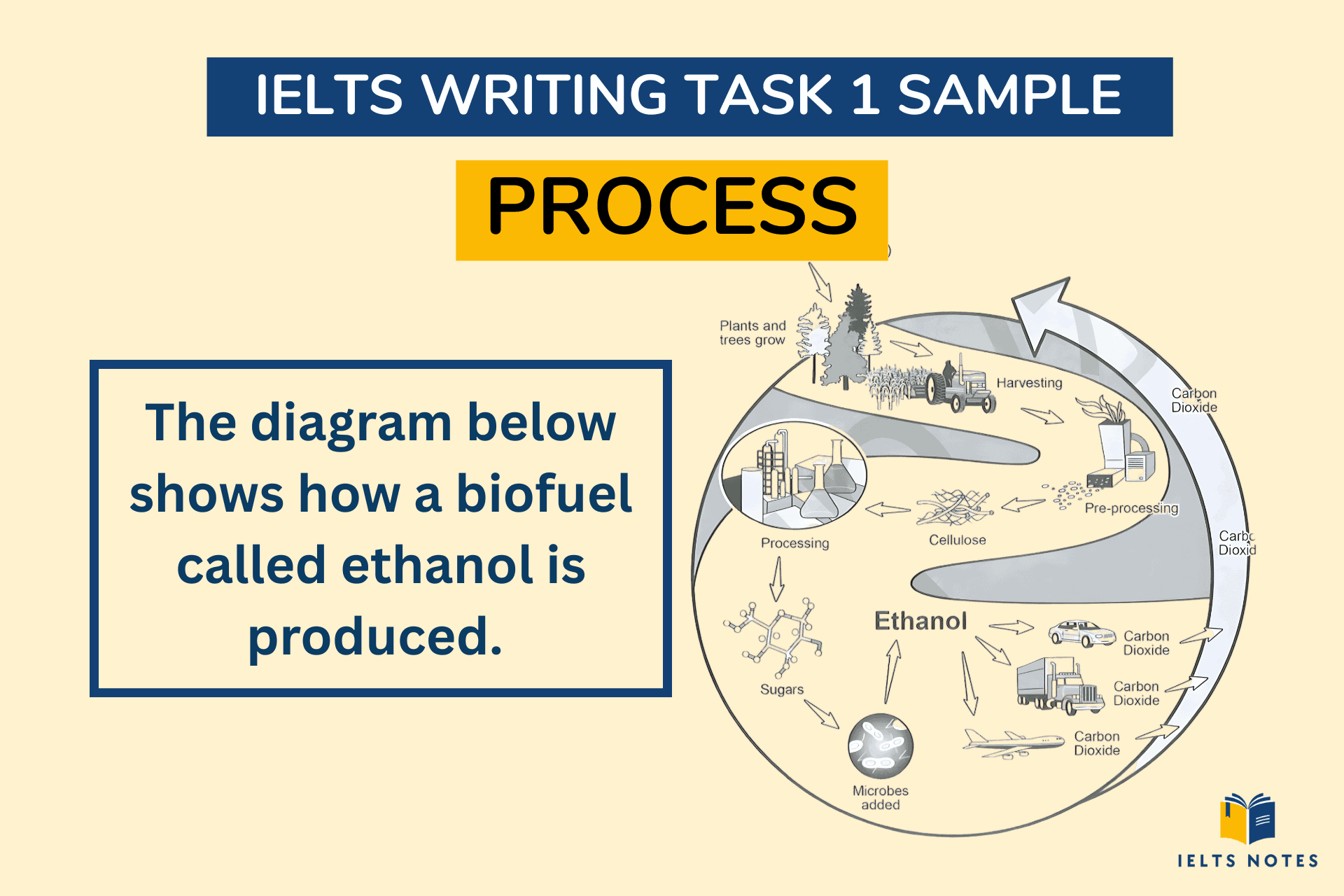 ielts-process-ethanol
