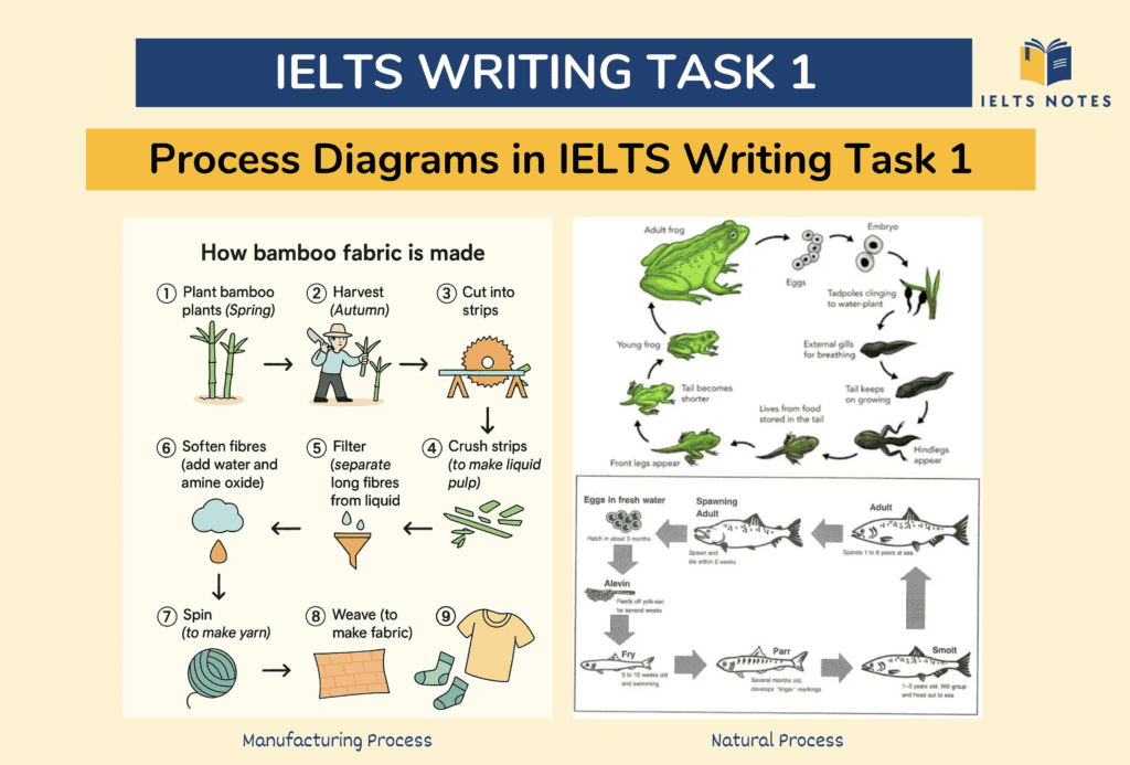 Process diagrams in IELTS Writing Task 1 showing manufacturing and natural processes