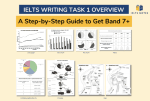 IELTS Writing Task 1 Overview: A Step-by-Step Guide to Get Band 7+